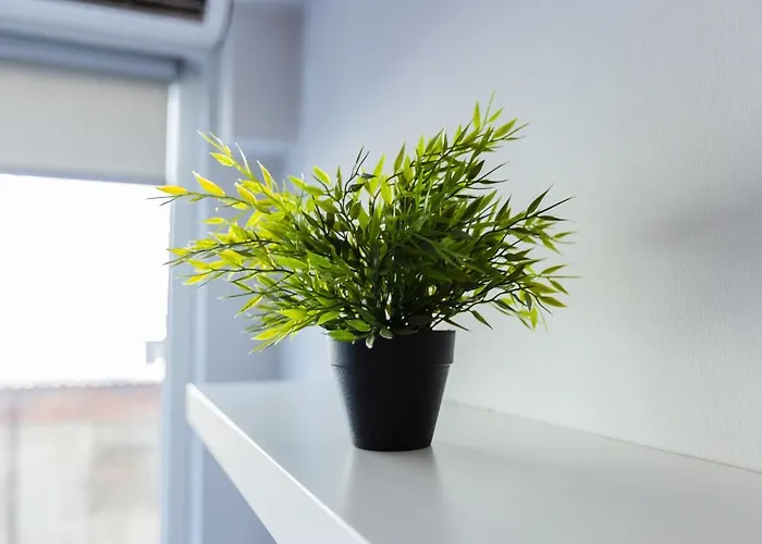 Apartament Modiano Center-your Urban *